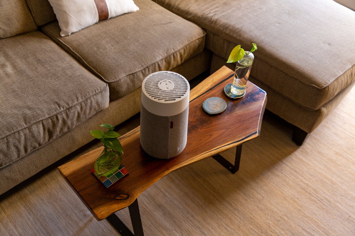 The Environmental Benefits of Using an Air Purifier in Your Home